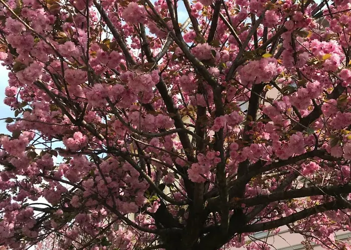 Frühstückspension Borghi Como